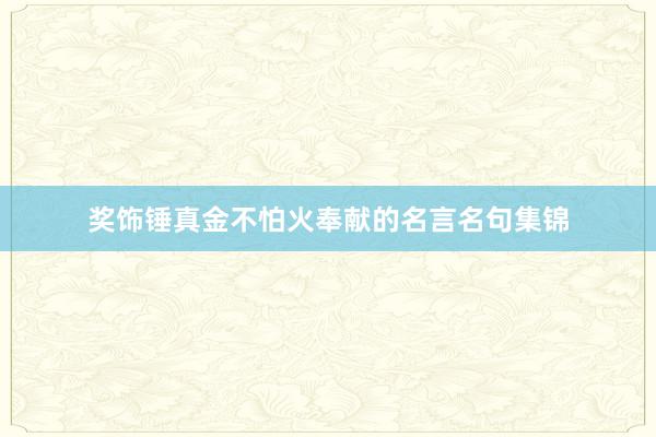 奖饰锤真金不怕火奉献的名言名句集锦