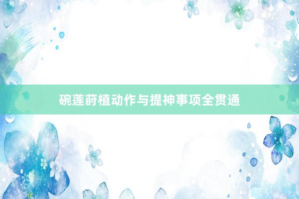 碗莲莳植动作与提神事项全贯通
