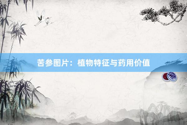 苦参图片：植物特征与药用价值