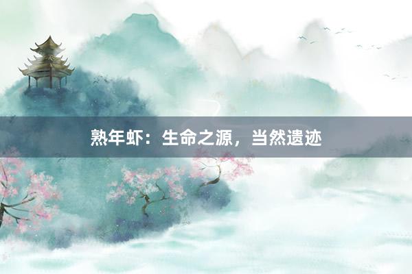 熟年虾：生命之源，当然遗迹